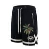 Quần Short Nam Li-Ning AKSV191-4V