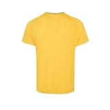  Áo T-shirt Cầu Lông, Pickleball Nam Li-ning P-AAYW045-5V 