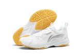  Giày Cầu Lông Nam Li-Ning ALMIGHTY V 1.0 P-AYTT001-5 
