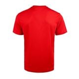  Áo T-shirt Cầu Lông, Pickleball Nam Li-ning P-AHST347-5 