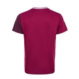  Áo cầu lông, Pickleball Nam Li-Ning P-AAYV151-4V 