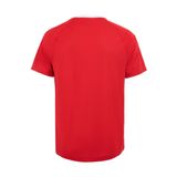  Áo T-shirt Cầu Lông, Pickleball Nam Li-ning P-ATSUB07-1 