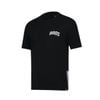 Áo T-shirt nam AHSV397-2V