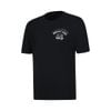 Áo T-shirt nam Li-Ning ATSV665-1V