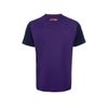  Áo T-shirt Nam Cầu Lông, Pickleball Li-Ning P-AAYW009-4V 