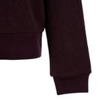  Áo Nỉ Nữ Li-Ning AWDVD70-4V 