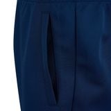  Bộ Quần Áo Cầu Lông, Pickleball, Bóng Bàn Unisex Li-Ning AWEV001-4C 