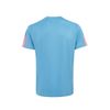  Áo T-shirt Nam Cầu Lông, Pickleball Li-Ning P-AAYV167-5V 