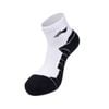  Tất ngắn cổ Unisex Li-Ning P-AWTW049-2V 