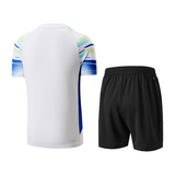  Bộ Quần Áo Cầu Lông, Pickleball, Bóng Đá Nam Li-Ning P-AATW036-2V 