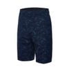  Quần short Nam Li-ning AKSW763-2V 