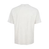  Áo T-shirt Nam Li-Ning AHSV411-4V 