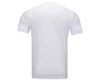  Áo T-shirt Nam Li-Ning P-AHSUF83-2V 