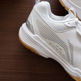  Giày Cầu Lông Nam Li-Ning ALMIGHTY V 1.0 P-AYTT001-5 