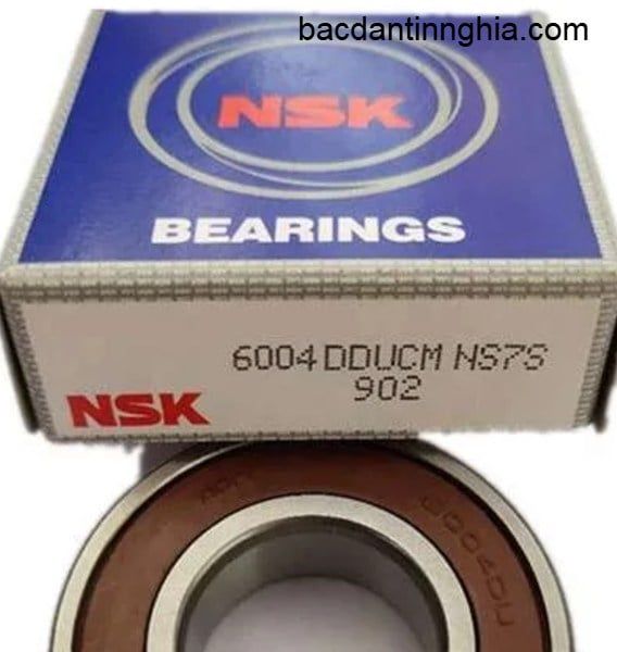 6004DDU NSK