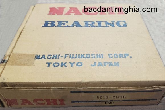 6218-2NSL NACHI