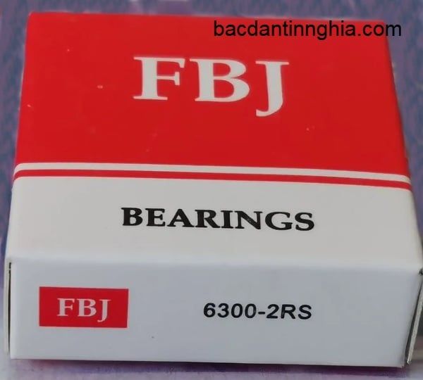 6300-2RS FBJ
