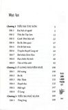 Tây Sơn Long Thần Ký