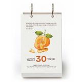 Lịch Bàn 2026 - Lòng Đất Nở Hoa Trời