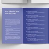 Boxset Vietnam Solo Expert - 7 Công Cụ Giúp Bạn Làm Chủ Sự Nghiệp Kinh Doanh Chuyên Môn Độc Lập (Hộp 7 Cuốn)