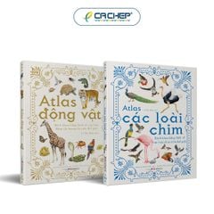 Combo 2 cuốn: Atlas động vật + Atlas các loài chim