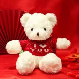 Gấu bông mặc áo len