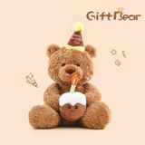 Gấu bông - Gift Bear