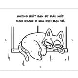 Tô màu - Nhật ký làm sen - Góc nhìn của boss mèo béo