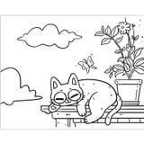 Tô màu - Nhật ký làm sen - Góc nhìn của boss mèo béo