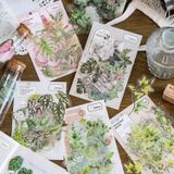 Sticker hình dán trang trí - Cây lá Green Plant