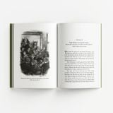 Những cuộc phiêu lưu của Tom Sawyer (Bìa mềm)