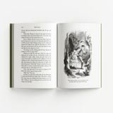 Những cuộc phiêu lưu của Tom Sawyer (Bìa mềm)