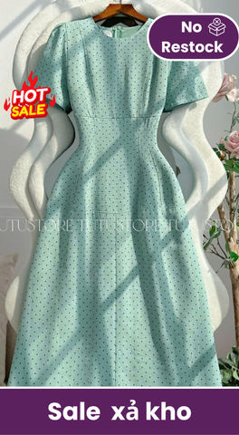 Đầm Thiết Kế Cổ Tròn Dáng A Chấm Bi Đi Chơi TuTu Store Mã D1763