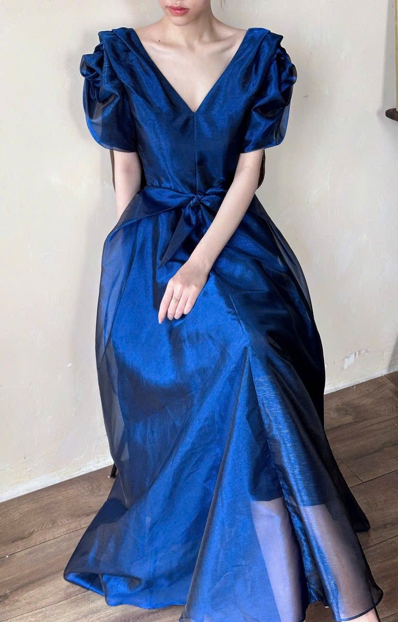 Helena Dress - Đầm Hoa Hồng Tay Phồng D1013 