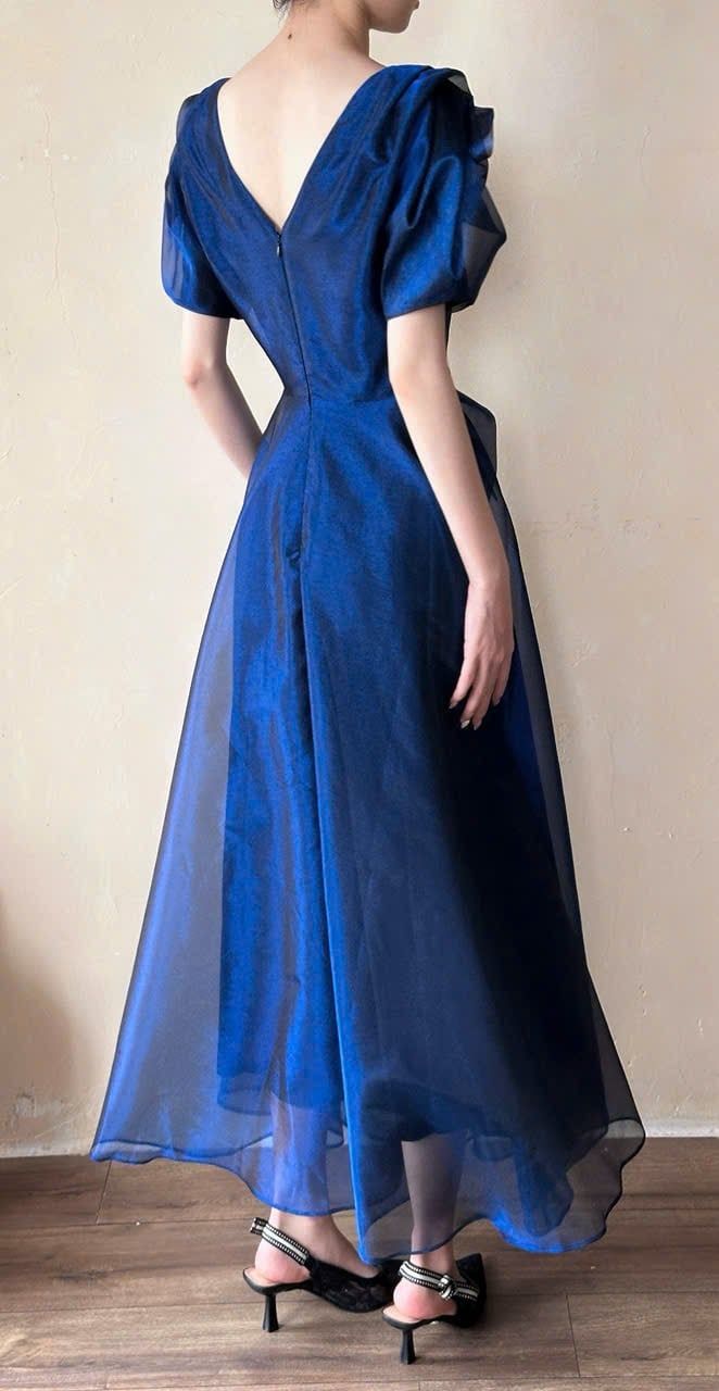  Helena Dress - Đầm Hoa Hồng Tay Phồng D1013 