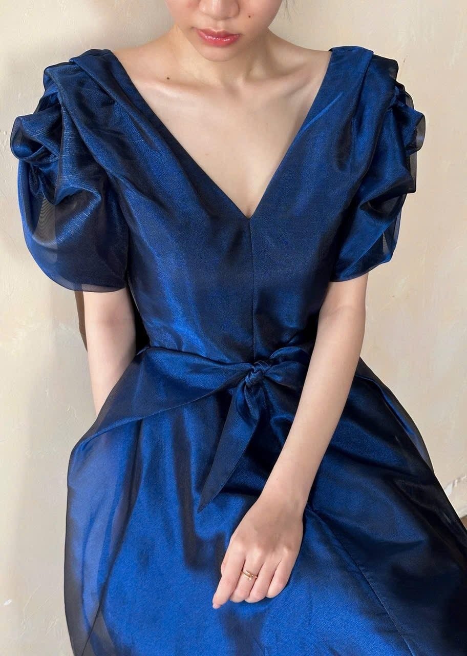  Helena Dress - Đầm Hoa Hồng Tay Phồng D1013 