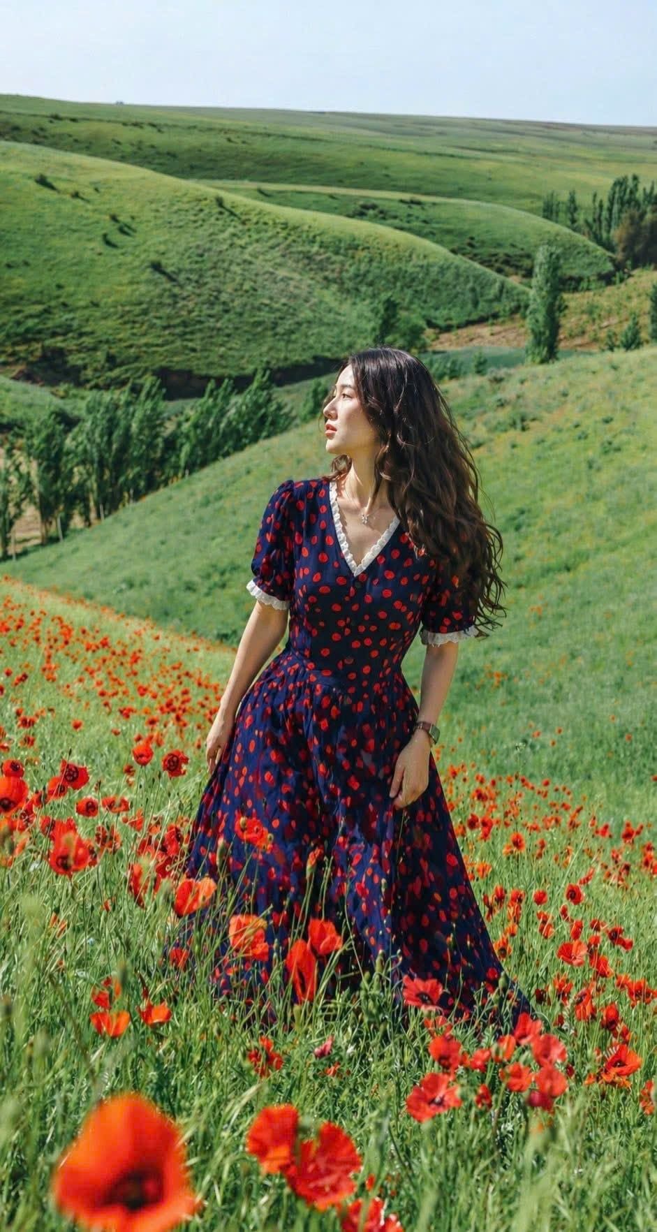  Jane Dress - Đầm Viền Cổ Tay Ngắn L36 