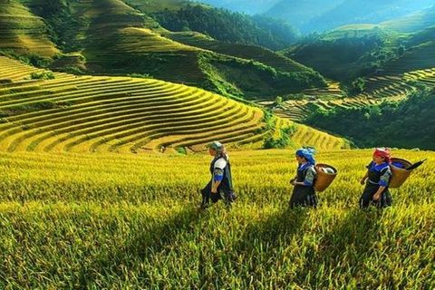 TOP 5-DAY TOUR PACKAGE IN NORTHERN VIETNAM: HANOI - SAPA - HA LONG BAY