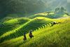 BEST VIETNAM TOUR PACKAGES FROM SINGAPORE 2026-2029