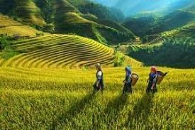 7-DAY NORTHERN VIETNAM ITINERARY: HANOI, SAPA, NINH BINH, HALONG BAY