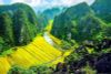 BEST 9-DAY VIETNAM ADVENTURE FROM SINGAPORE TO HANOI, SAPA, NINH BINH, HALONG BAY