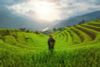BEST VIETNAM TOURS & VACATION PACKAGES FROM LATIN AMERICA/ 2025-2026