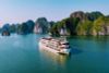 VIETNAM LUXURY TOUR PACKAGES FROM INDIA | 2026 & 2028