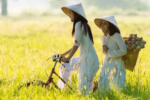 HANOI & HALONG CORPORATE TRAVEL | 4-DAY MY INCENTIVE PACKAGE