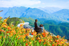 6-DAY NORTHERN ESCAPES (HANOI, HALONG, & SAPA) | LUXURY & PRIVATE