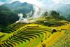 7-DAY BEST OF NORTHERN VIETNAM: HANOI, SAPA, NINH BINH, HALONG BAY