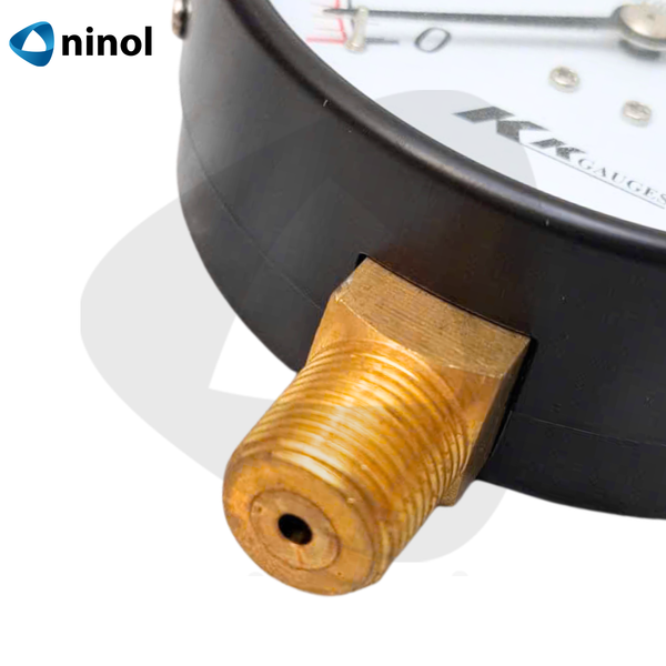 Đồng hồ đo áp suất hơi mặt 100