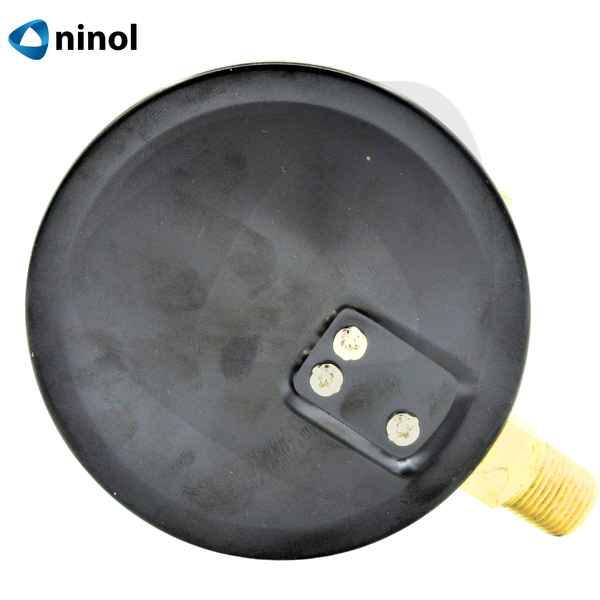 Đồng hồ đo áp suất hơi mặt 100