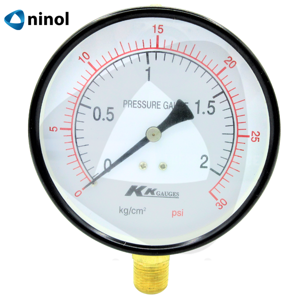 Đồng hồ đo áp suất hơi mặt 100