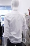  Sơ mi SANLANO cotton vân 